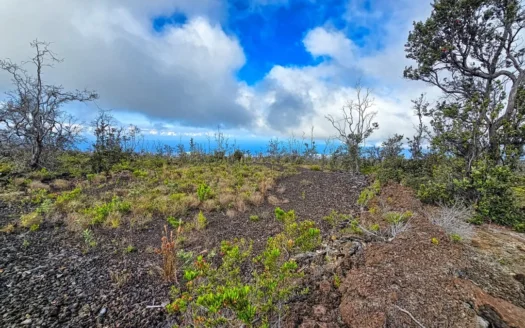 7 one-acre lots, ocean views, sunsets and house pad w/driveway