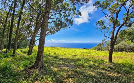 Spectacular Ocean Views from This Hawai‘i Big Island Property