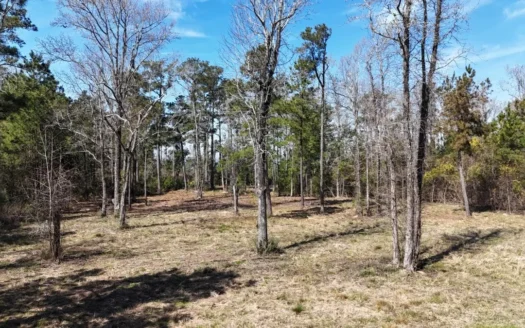 Waterfront Lot for Sale, Beaufort NC