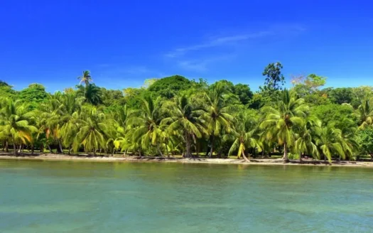 Titled Beachfront Lot on Isla Carenero, Bocas del Toro