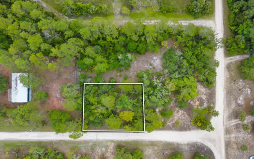 Vacant Lot For Sale – Suwannee Florida