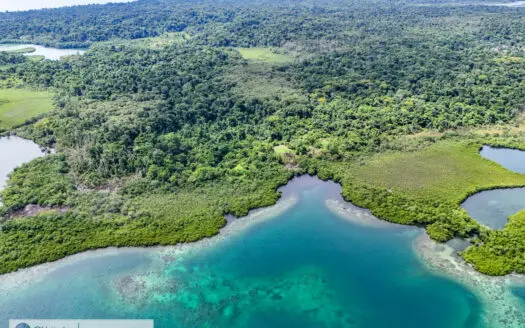 Large Waterfront Land for Sale – Isla Popa, Bocas del Toro