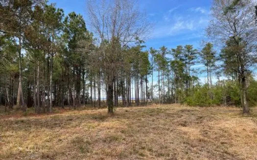 Waterfront Lot for Sale Beaufort NC