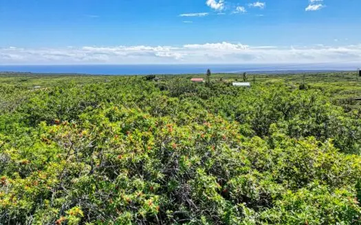 Wooded lot with possible ocean views on Big Island Hawaii