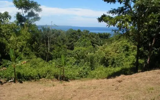 Bargain Titled Lot for Sale in Red Frog Resort, Bocas del Toro