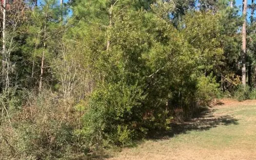 Nice Building lot on Lady’s Island