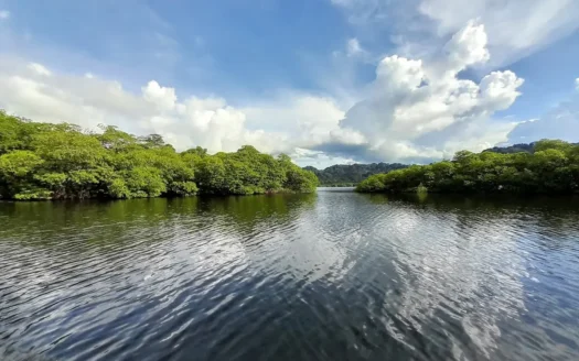 Waterfront Land with Dock in Tierra Oscura, Bocas del Toro Panama