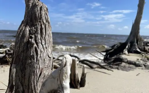 Waterfront Homesite for Sale Beaufort, NC