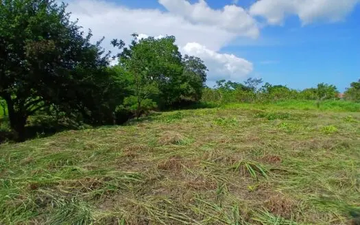 2000 m2 Land for Sale in San José, Panama 5 Minutes from Coronado