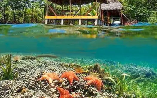 Titled Dolphin Bay Home – Oceanfront Property, Bocas del Toro