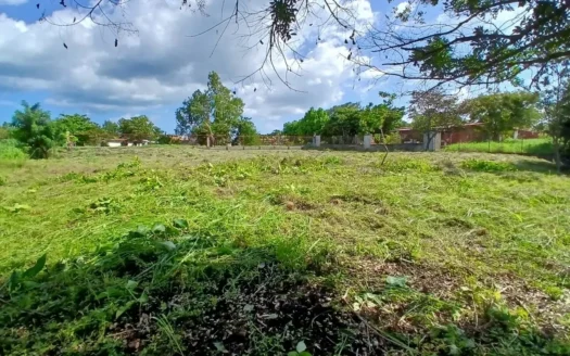 Prime Commercial Land for Rent in Punta Barco Viejo, Panama