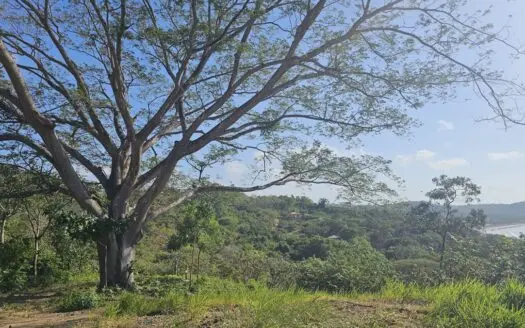 Los Balsos Residences in Playa Venao Lote #10