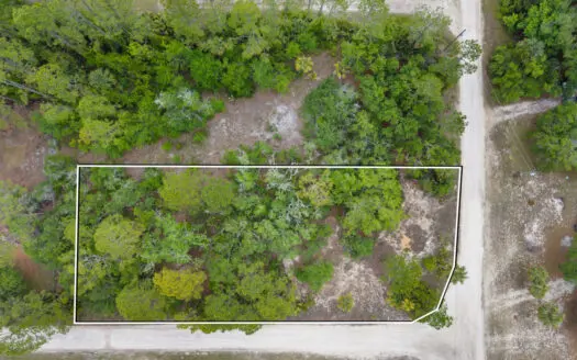 Vacant Lot For Sale – Suwannee Florida