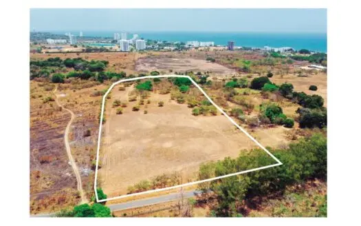 Prime 4.4-Hectare Flat Land Near Buenaventura & Playa Blanca