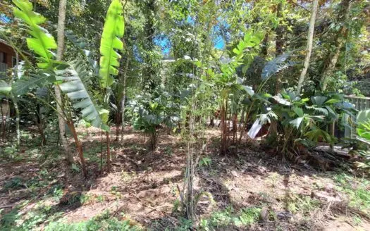 Prime Titled Lot Near the Beach in Paunch- Bocas del Toro
