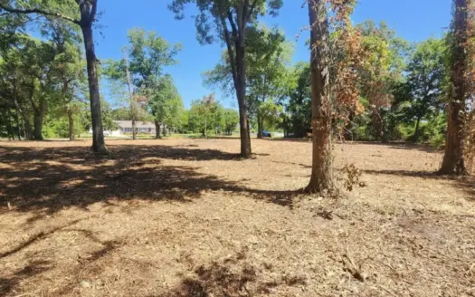 Hubert Homesite with Optional Boating Access