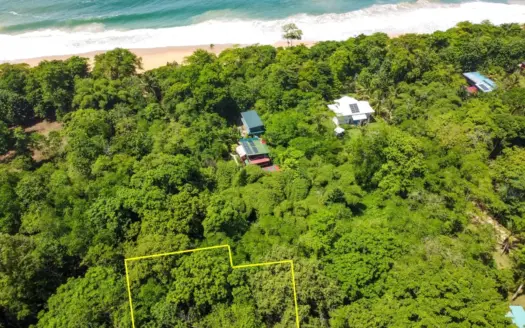 Beautiful Titled Jungle Lot Just Steps from Bluff Beach