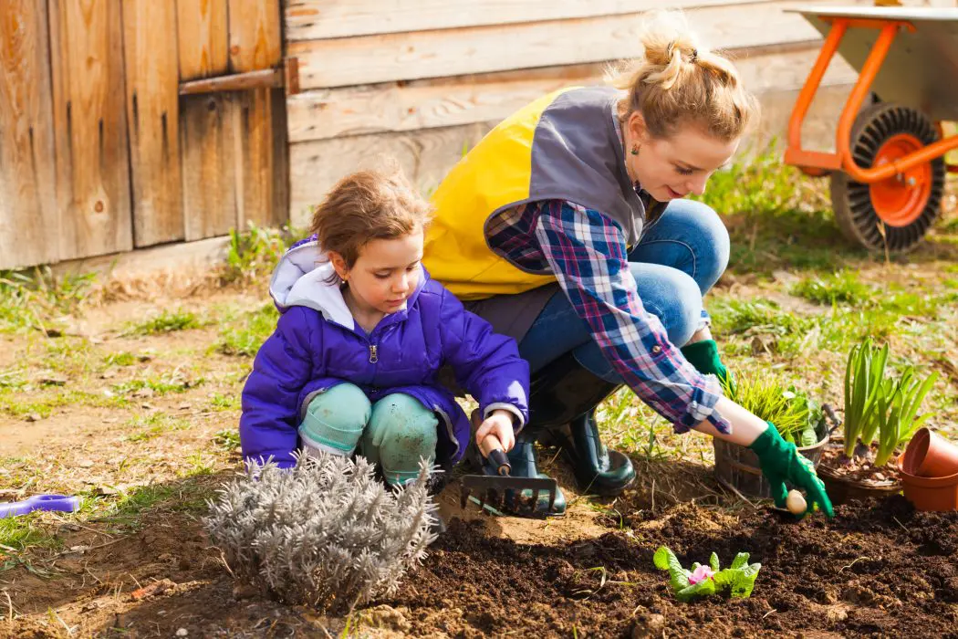 Raising a family in the country