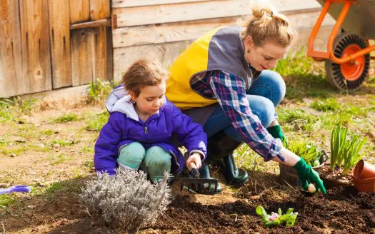 Raising a family in the country