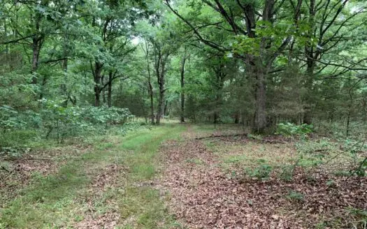 120+/- Wooded Acres for Sale Stover Missouri