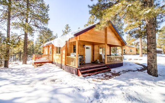 Private Cabin Home for Sale in Mancos, Colorado!