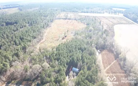 Furman / Estill Hunting / Farm W. Cabin