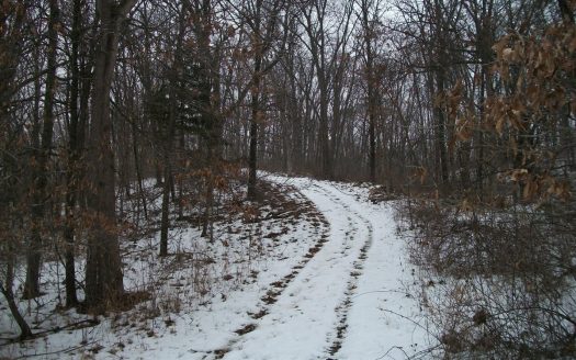 Missouri Land and Home for Sale – 78 Ac +/-, Kahoka, Mo