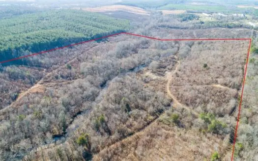 81 Acres in South Polk County, Arkansas