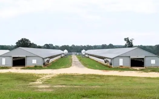 Poultry/cattle Farm and 100 Acres for Sale in Mississippi