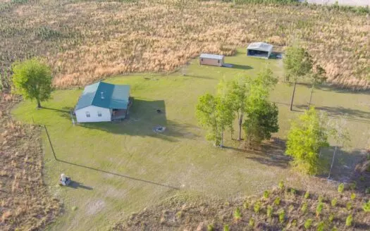 Turn-key Pine Tree Farm on 40 Acres in North Central Florida