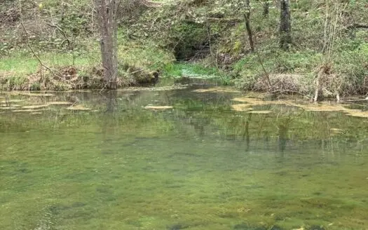 Fiber Optic Get Away