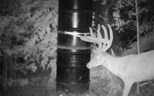 Kansas Big Buck Trophy Property