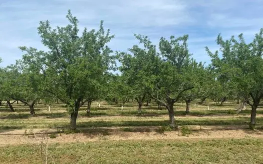 California Farm and Ranch for Sale – Capay Valley