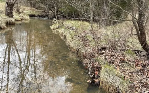 Large Acreage with Fixer Upper House for Sale in Ava Mo