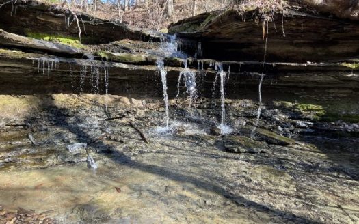 Recreational, Hunting Land with Creek for Sale in Tennessee.