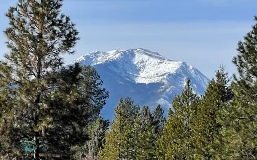 Montana Property for Farm, Business or Homestead!