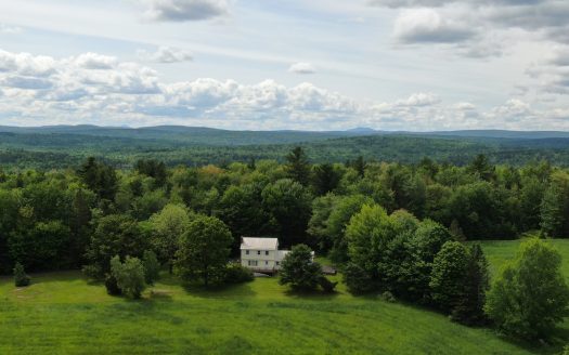 Classic Maine Colonial