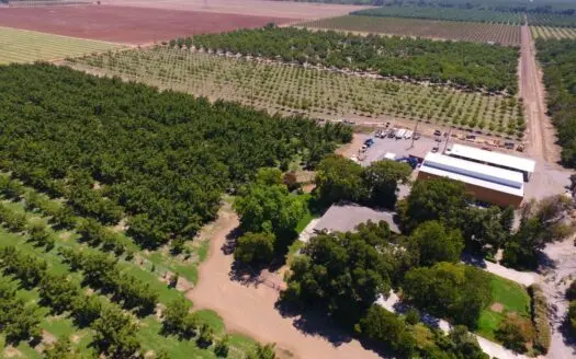 Northern California Income Producing Orchards for Sale