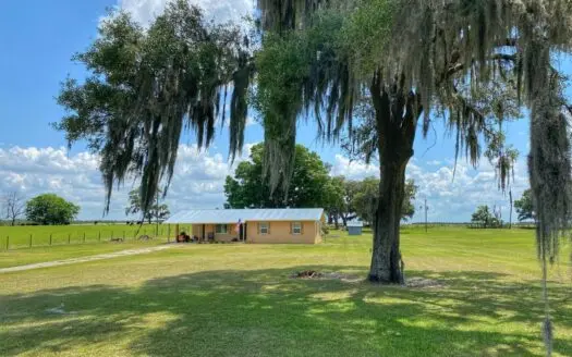 Country Living – Newberry Florida!