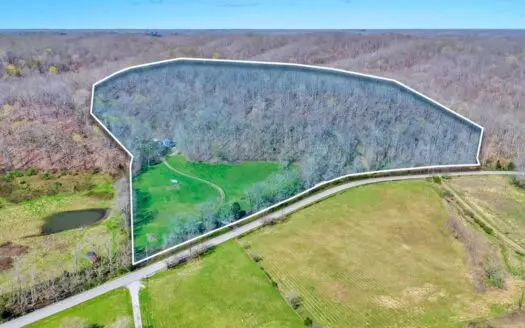 Land for Sale in Williamson County