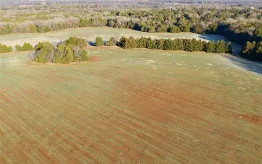 140 Acres for Sale in Whitesboro, Texas – Grayson County
