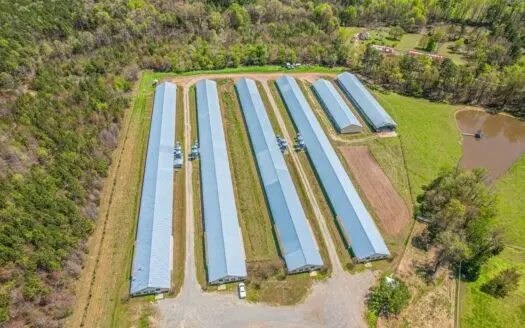 Breeder Farm in Chatham County!