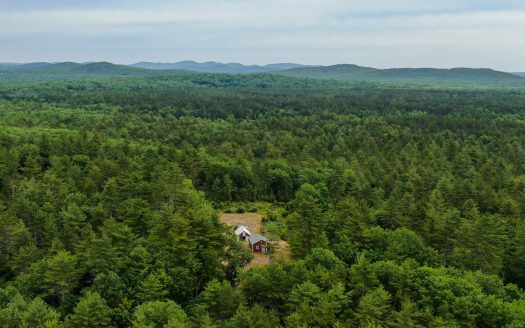 Four Season Cabin with Acreage