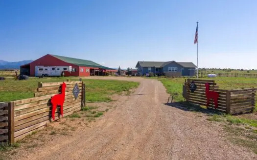 Alpaca Ranch for Sale in Southwest Colorado!
