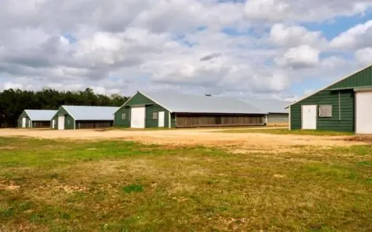 4 House Poultry Broiler Farm for Sale Sw Mississippi