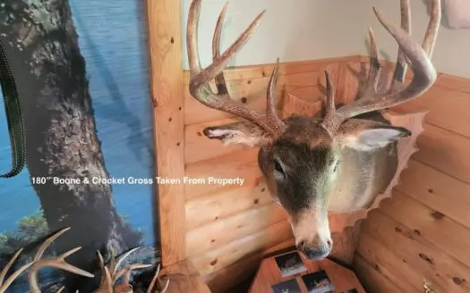 Diverse Piece Of Juneau County Ground