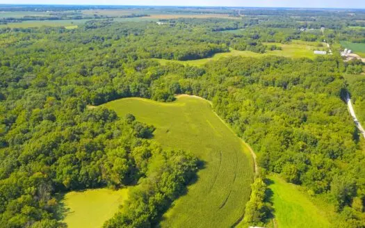 Country Home in Macoupin County with Timber and Tillable