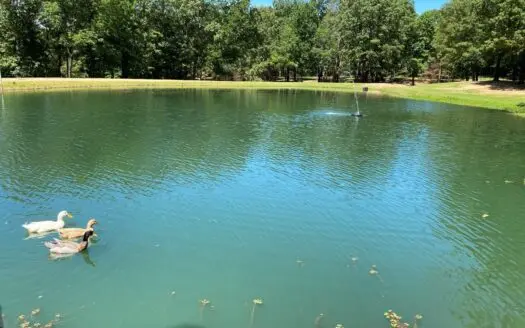 Location, Location, Location!!!