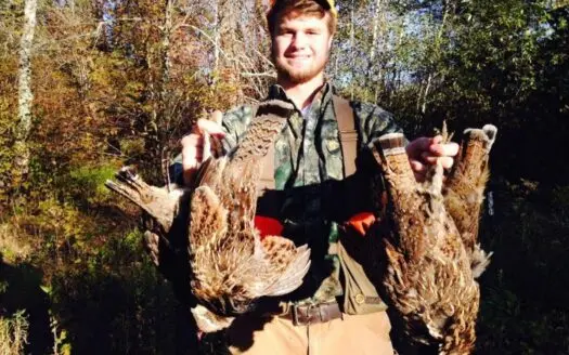 Whitetail and Grouse Property W/cabin Langlade County Wi