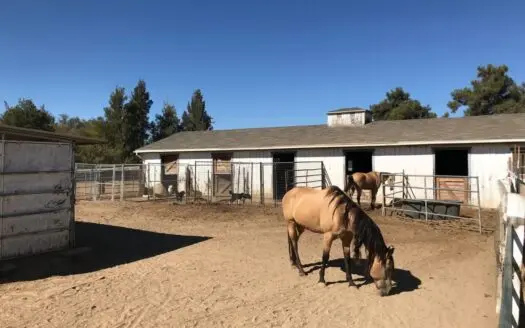 Yolo County, Northern California Ranch for Sale